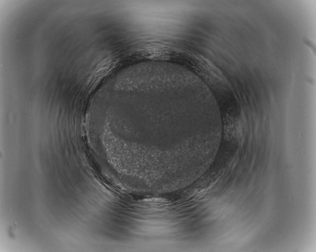 X0000096390748200802141455