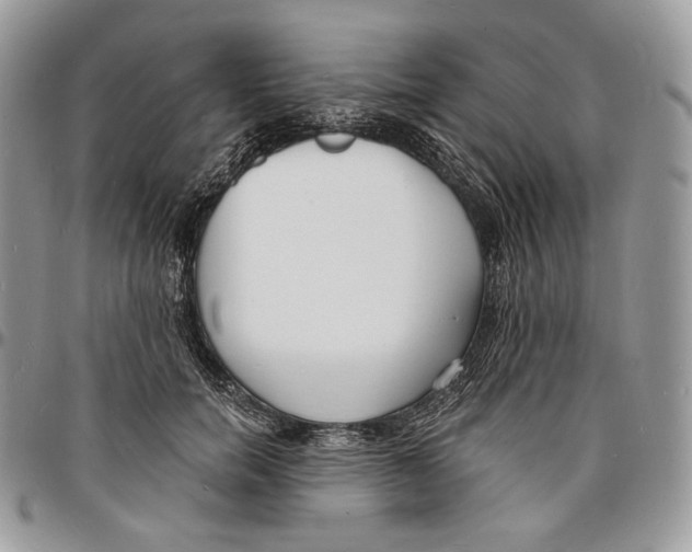 X0000096390750200802141455