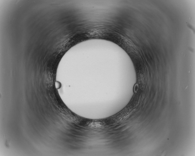 X0000096390751200802141455