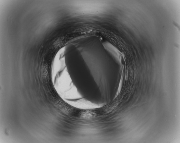 X0000096390754200802141455