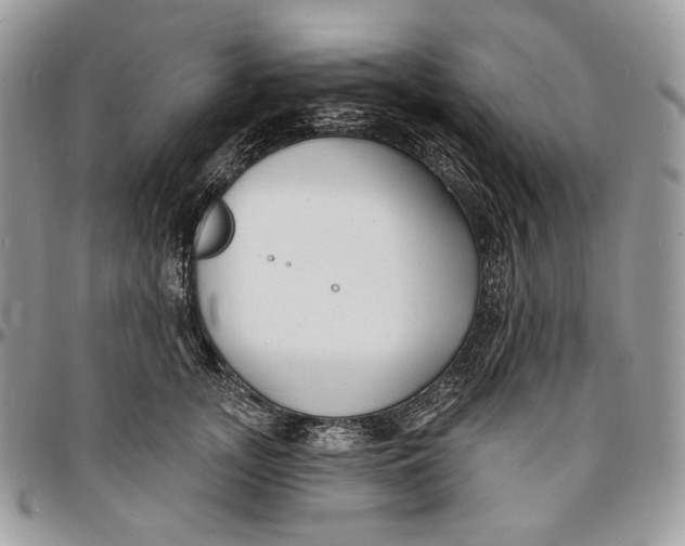 X0000096390755200802141455