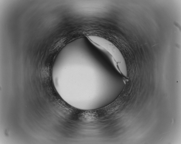 X0000096390756200802141455