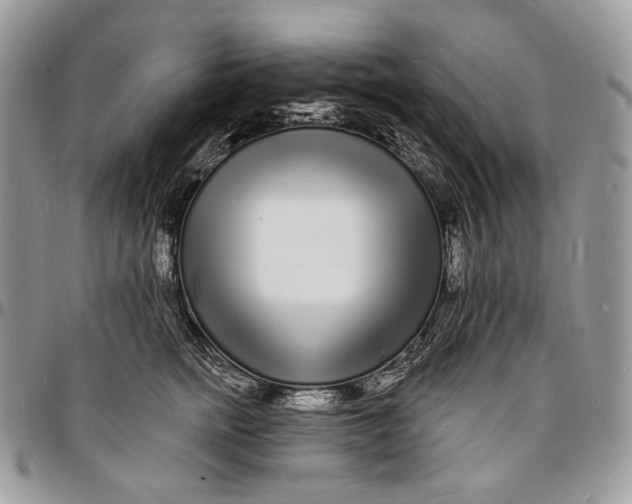 X0000096390758200802141455