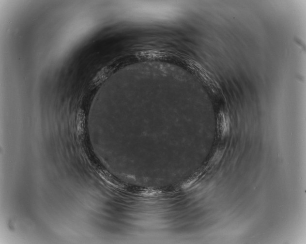 X0000096390760200802141455