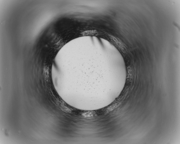 X0000096390761200802141455
