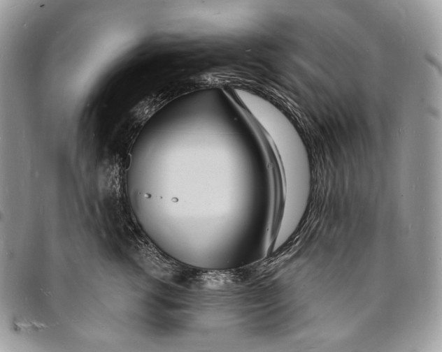X0000096390762200802141455