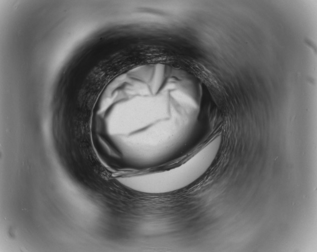X0000096390763200802141455
