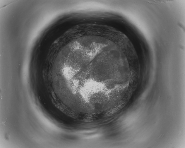 X0000096390765200802141455