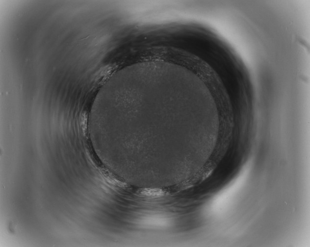 X0000096390767200802141455