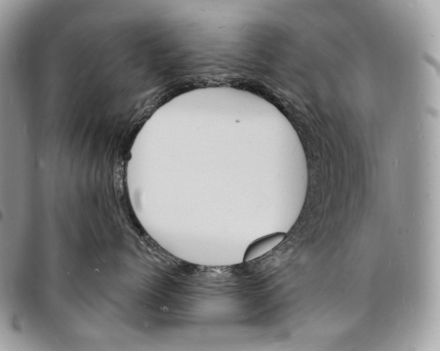 X0000096390768200802141455