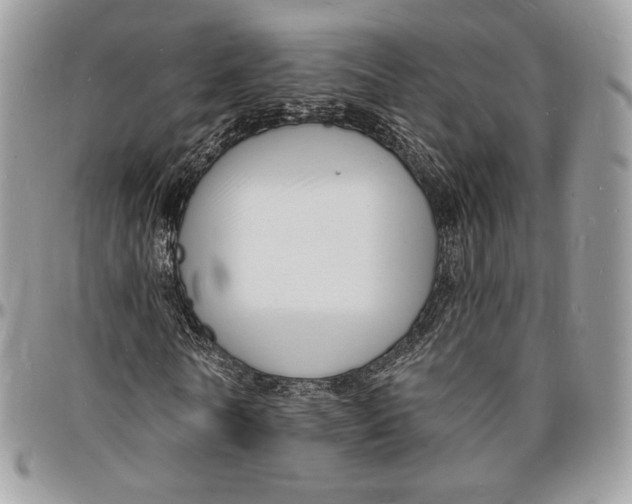 X0000096390770200802141454