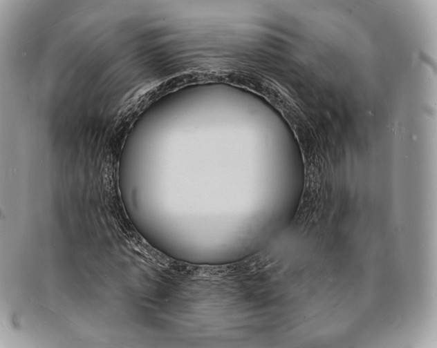 X0000096390773200802141454