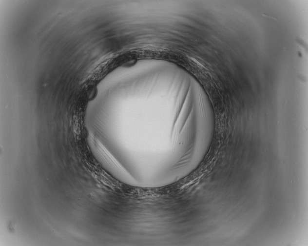 X0000096390774200802141454