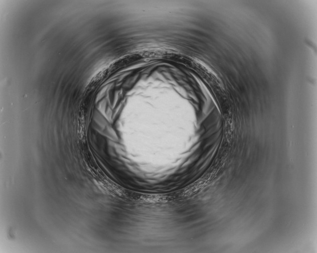 X0000096390775200802141454