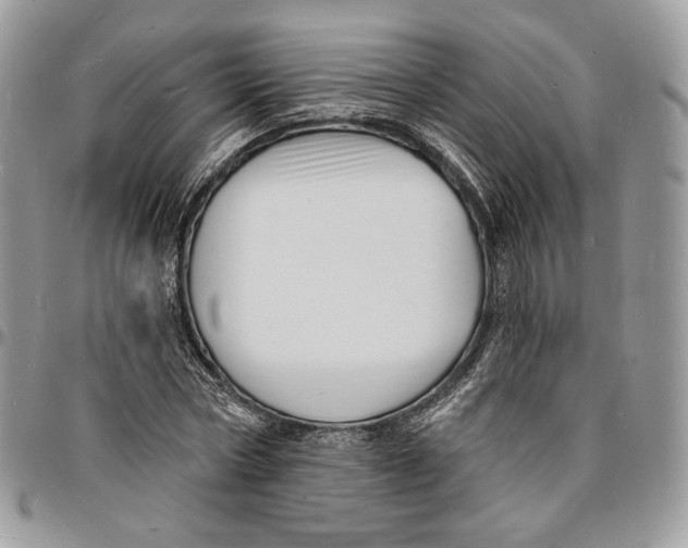 X0000096390778200802141454