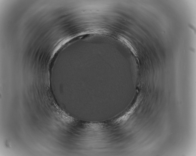 X0000096390781200802141454