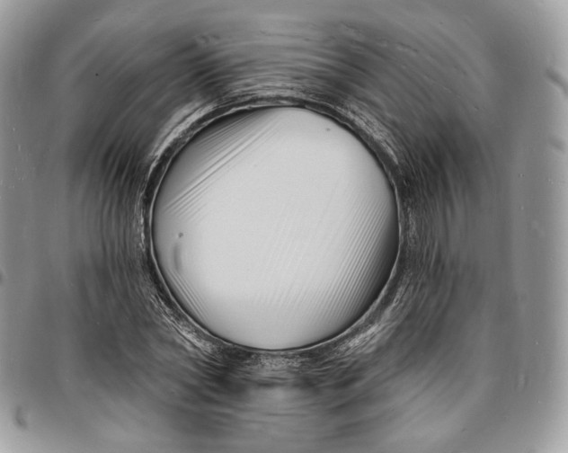 X0000096390782200802141454