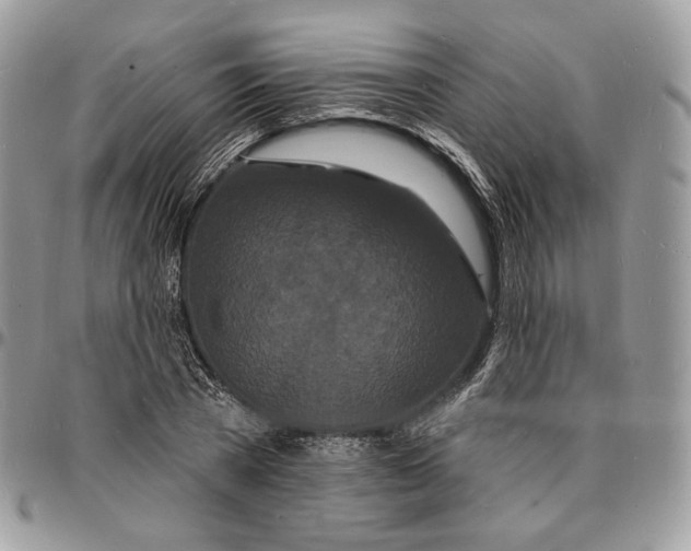 X0000096390785200802141454