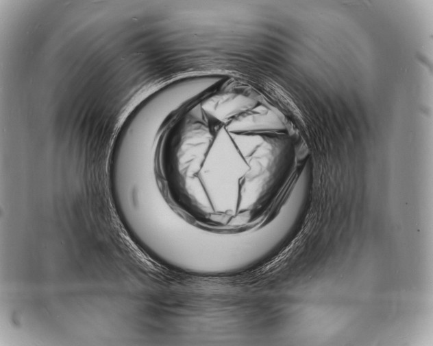 X0000096390789200802141454
