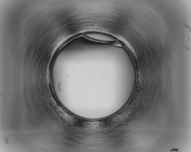 X0000096390791200802141454