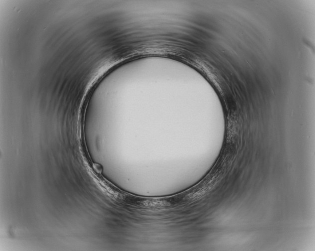 X0000096390795200802141454