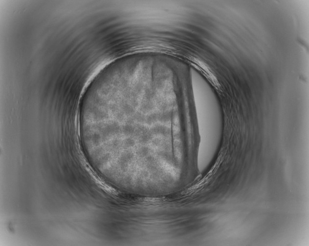 X0000096390796200802141454