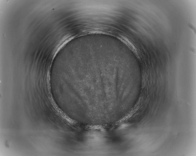 X0000096390798200802141454