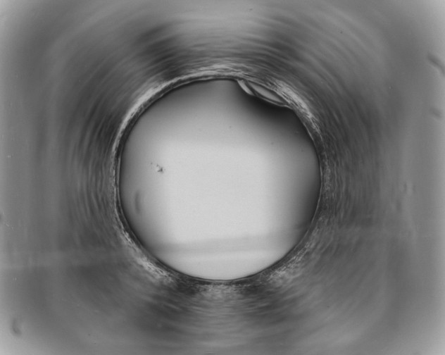 X0000096390800200802141454
