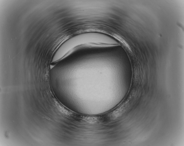X0000096390801200802141454