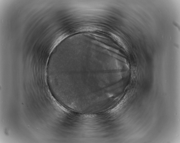 X0000096390802200802141454