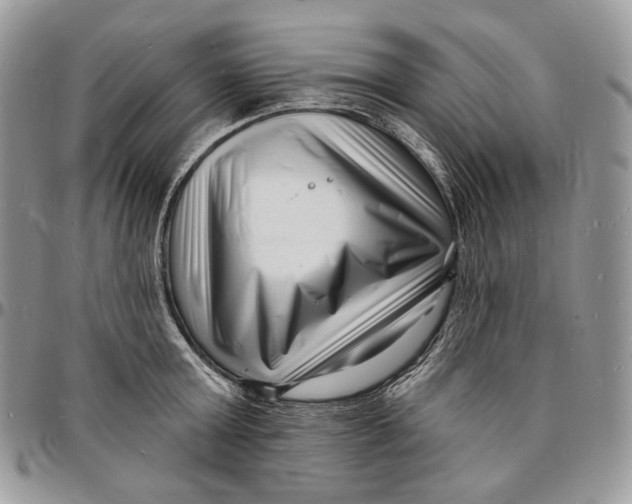 X0000096390803200802141454