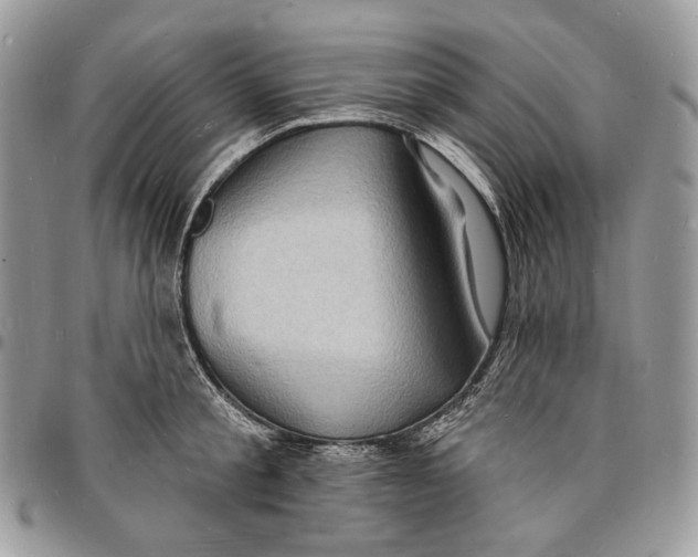 X0000096390805200802141454