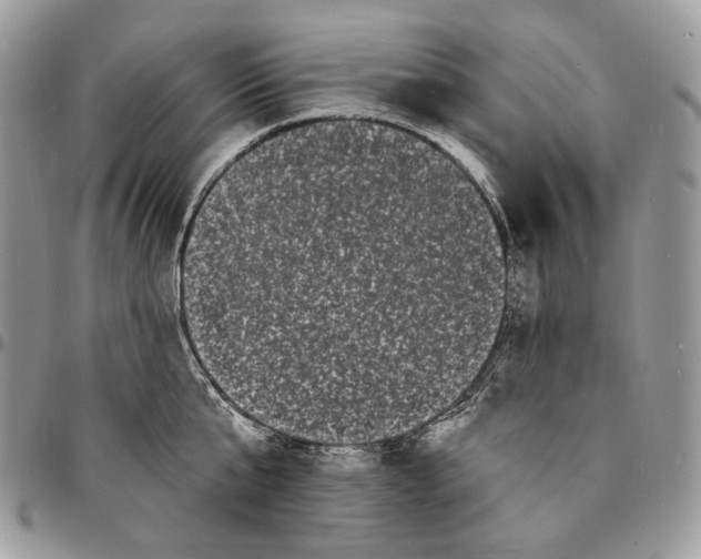 X0000096390807200802141454