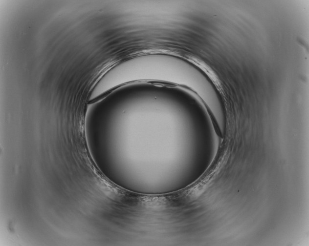 X0000096390809200802141454
