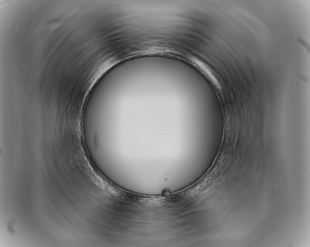X0000096390810200802141454