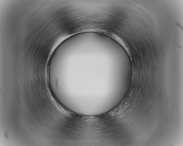 X0000096390811200802141454