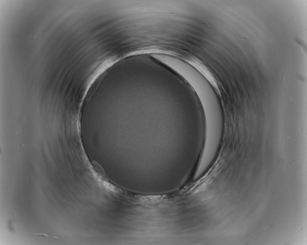 X0000096390813200802141454