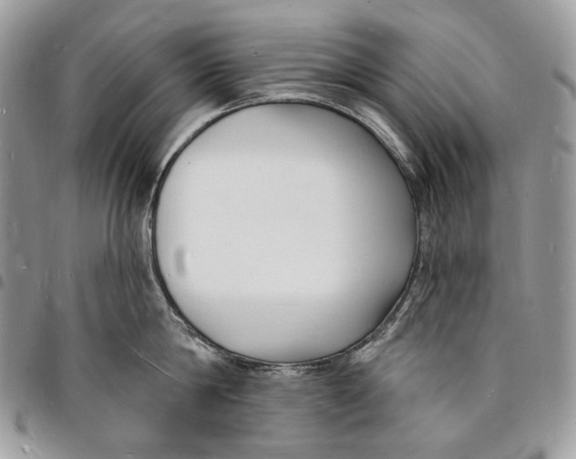 X0000096390814200802141453