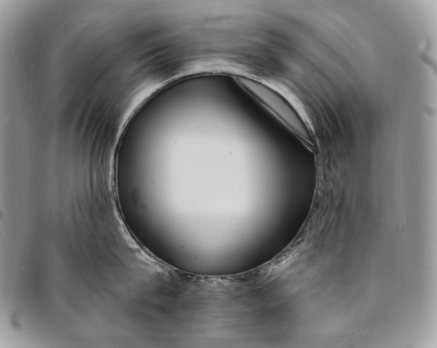 X0000096390815200802141453