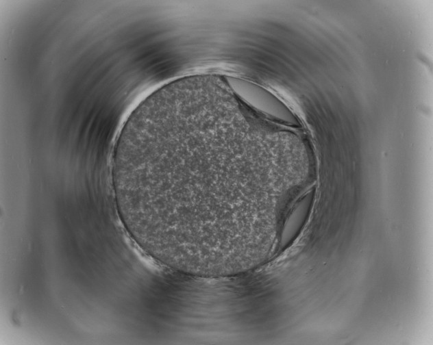 X0000096390816200802141453