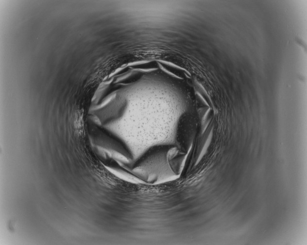 X0000096390818200802141453