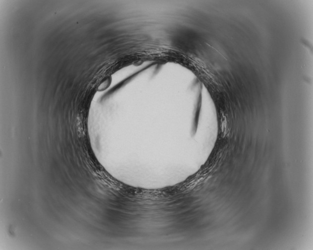 X0000096390819200802141453