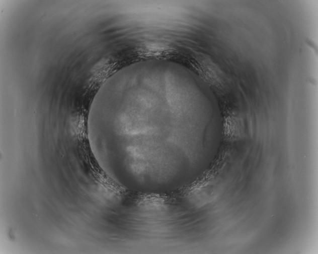 X0000096390820200802141453