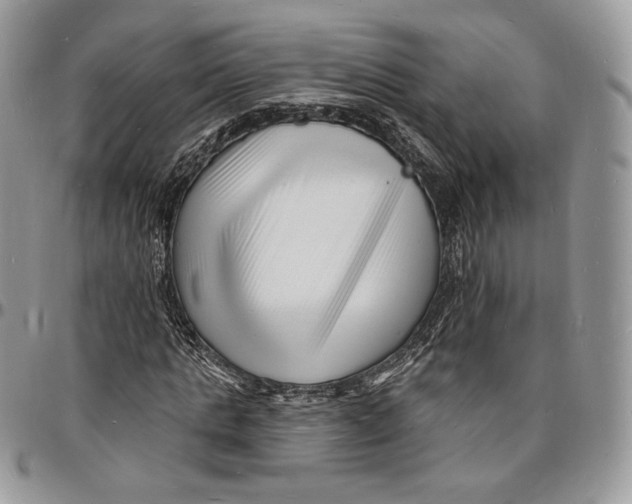 X0000096390821200802141453