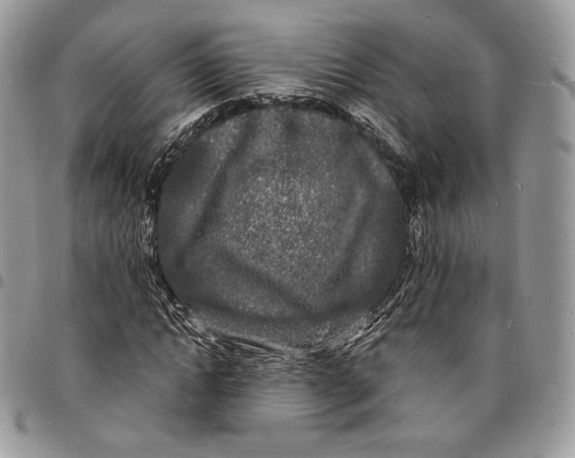 X0000096390822200802141453