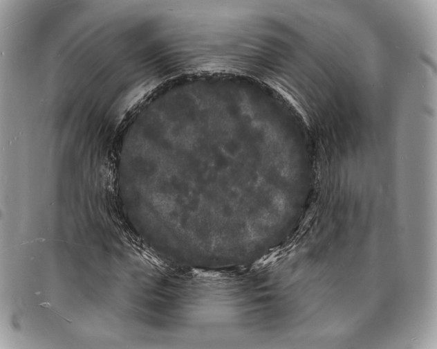 X0000096390823200802141453
