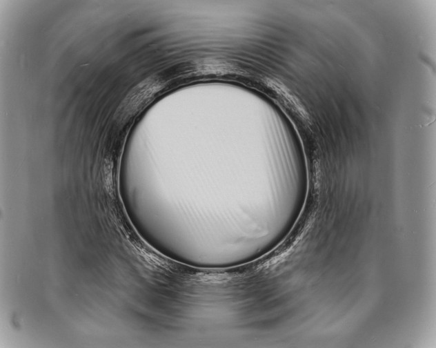 X0000096390825200802141453