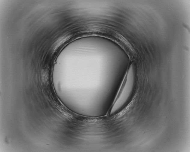 X0000096390826200802141453