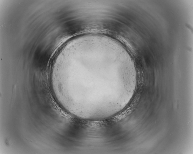 X0000096390828200802141453