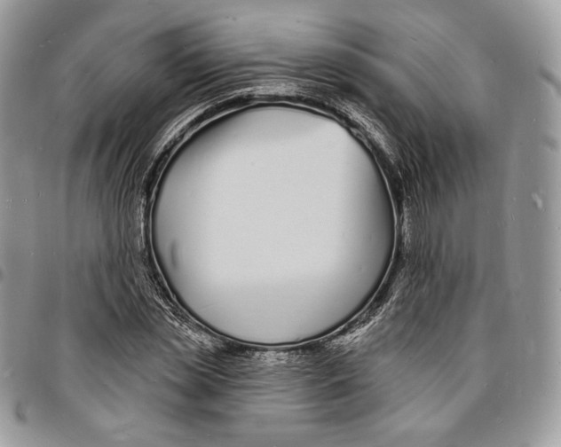 X0000096390829200802141453